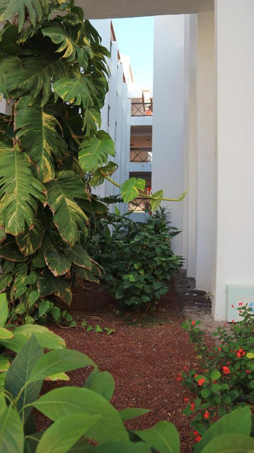 Apartamento En Tenerife Sur, Parque Santiago 2 Arona  Exterior photo